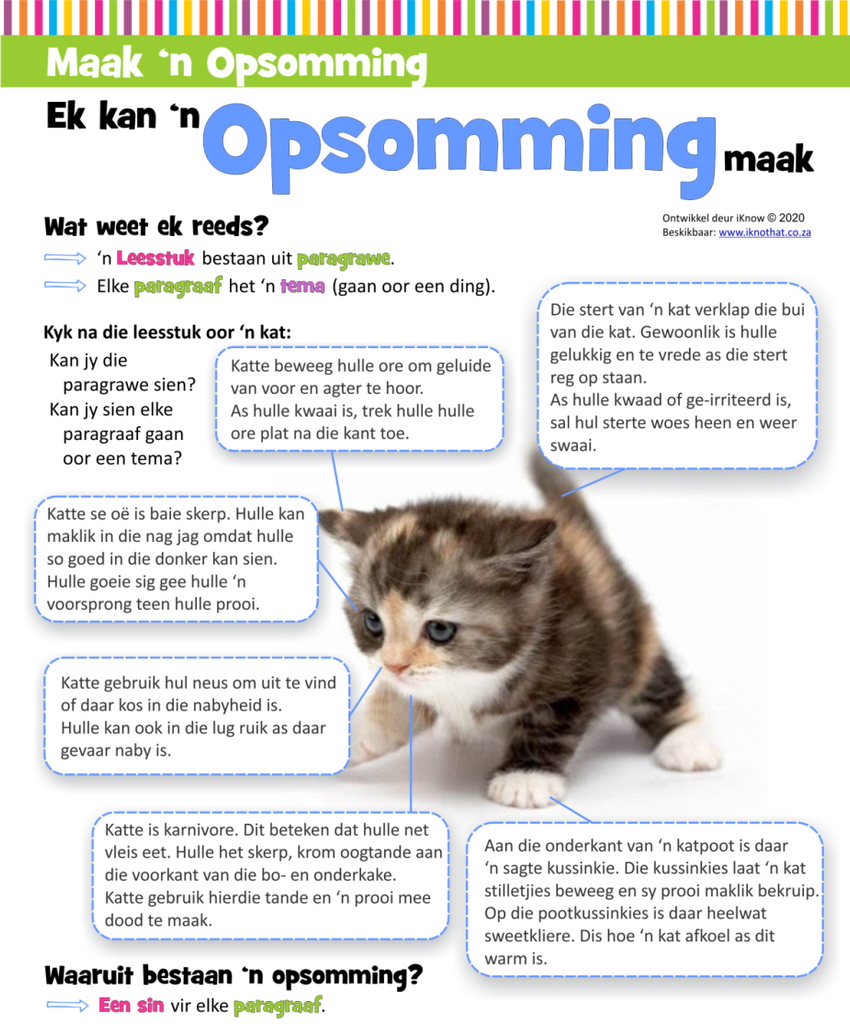 Opsomming Summary.pdf iK Afrikaans Skryfwerk Opsomming PDF – iKnowThat